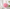 Rose Bath Loofah (Two-Tone) – Displayed for Air-Drying